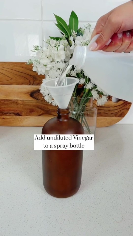 Pouring undiluted vinegar into a spray bottle.