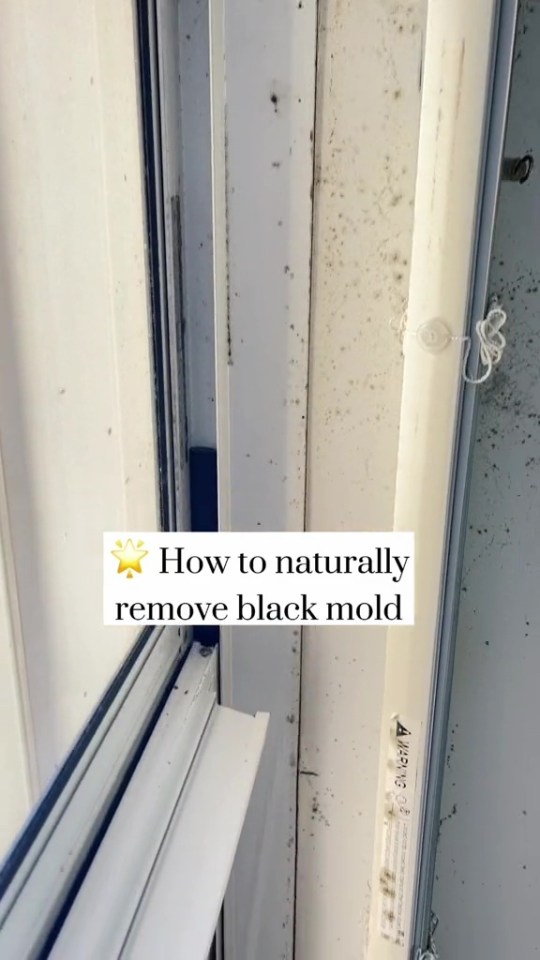 Black mold on window frame.