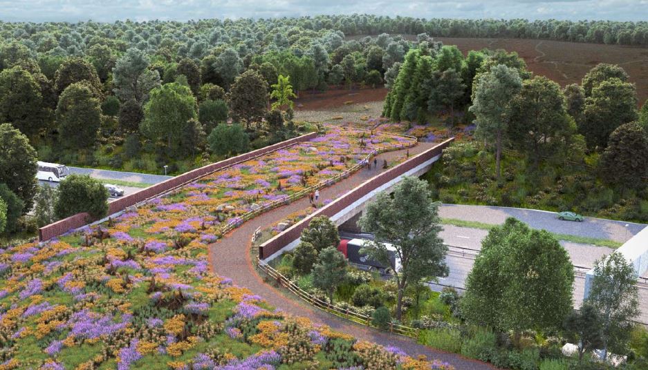 Aerial view of a new pedestrian bridge over a highway, featuring a green roof with wildflowers.