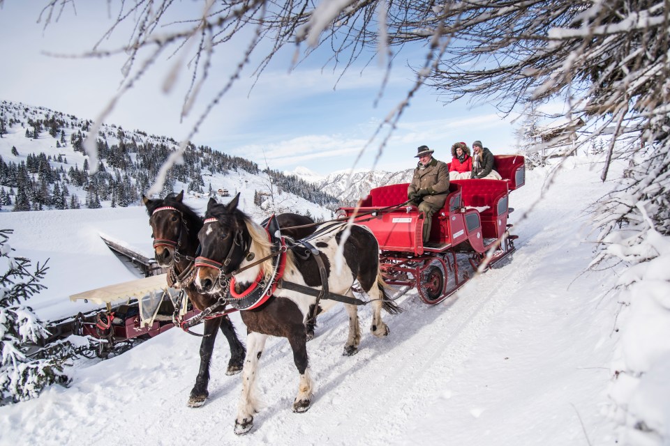 Take a horse and carriage ride through the snow