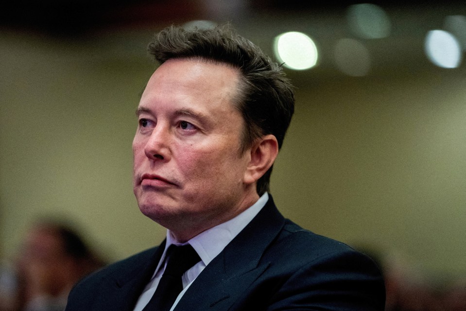 Elon Musk - the world's richest man - could help Reform come to power