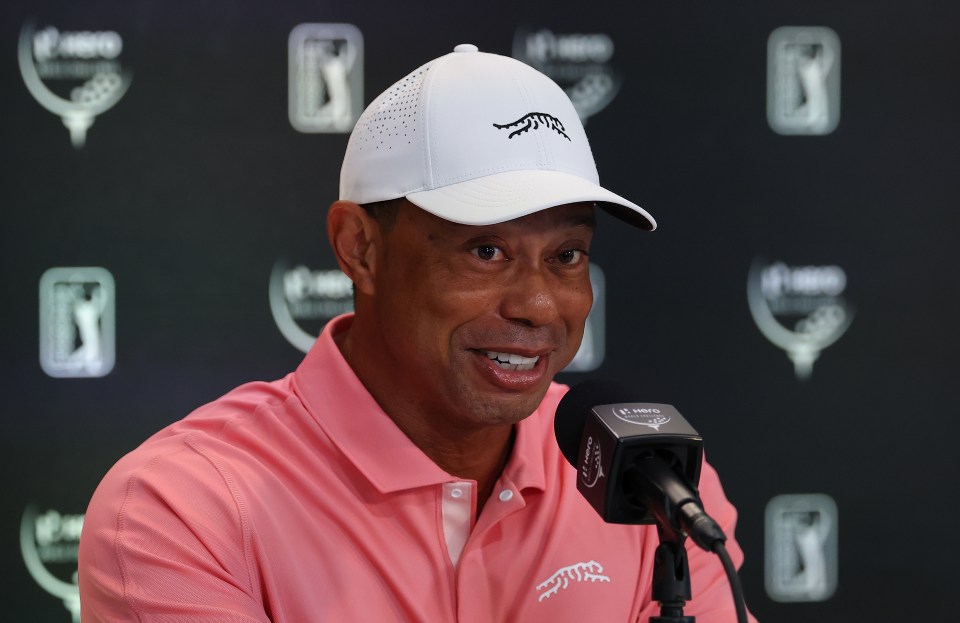 Tiger Woods wants USA's Ryder Cup stars to be paid more so they can extra funds to charity