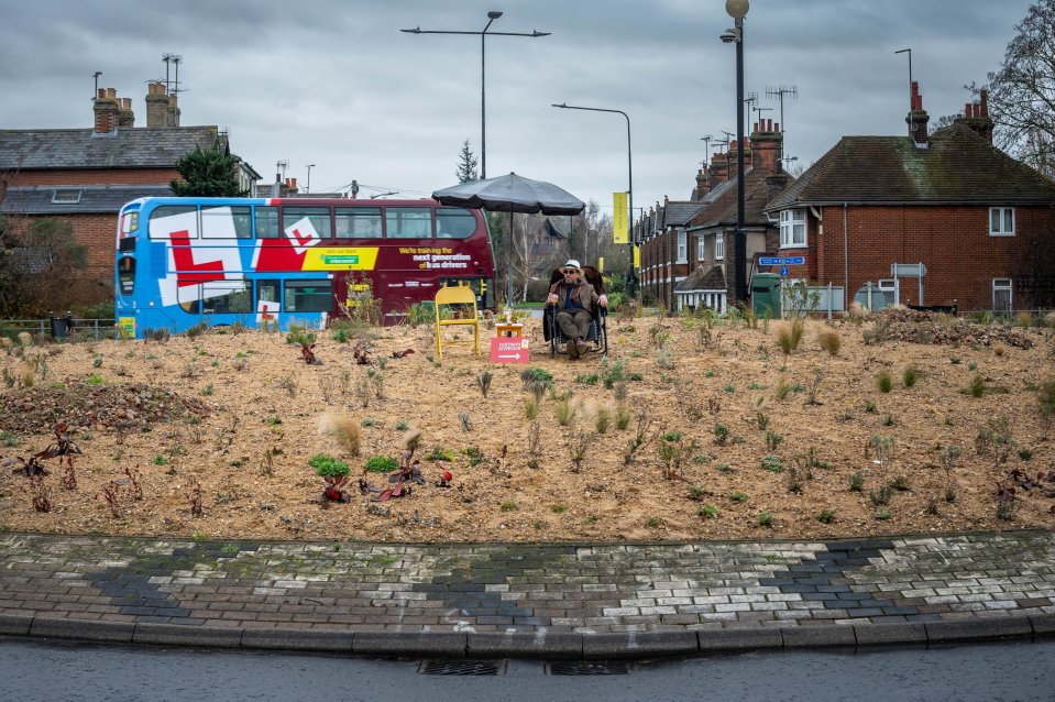 It's claimed the topsoil was replaced with sand to prevent weeds from growing