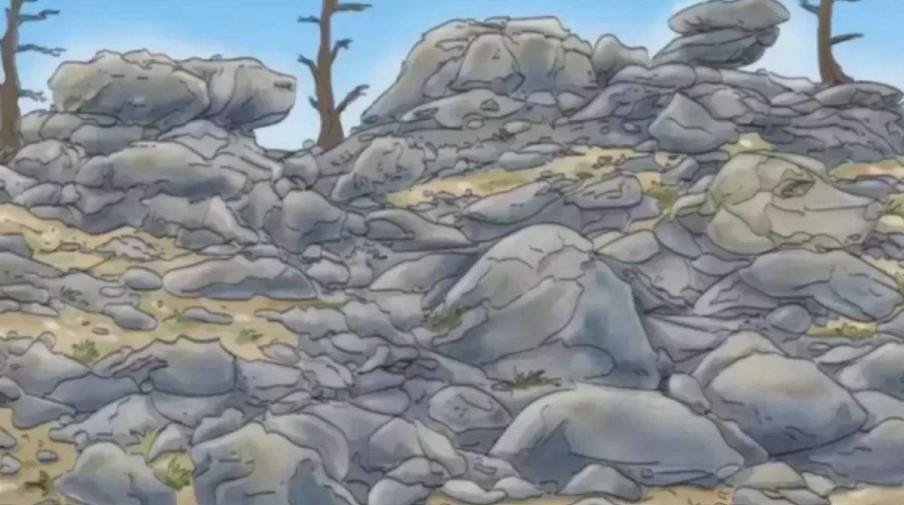 Optical illusion: Can you find the hidden dog among the rocks?