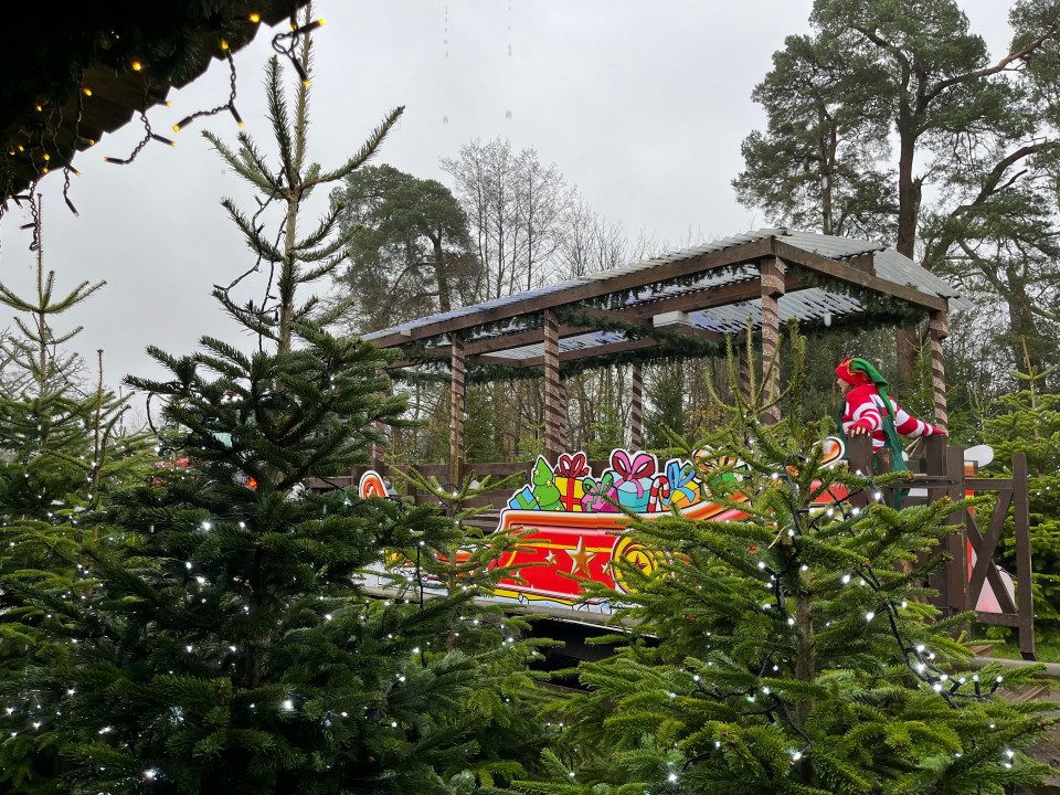 Elf on a Christmas sleigh surrounded by Christmas trees.