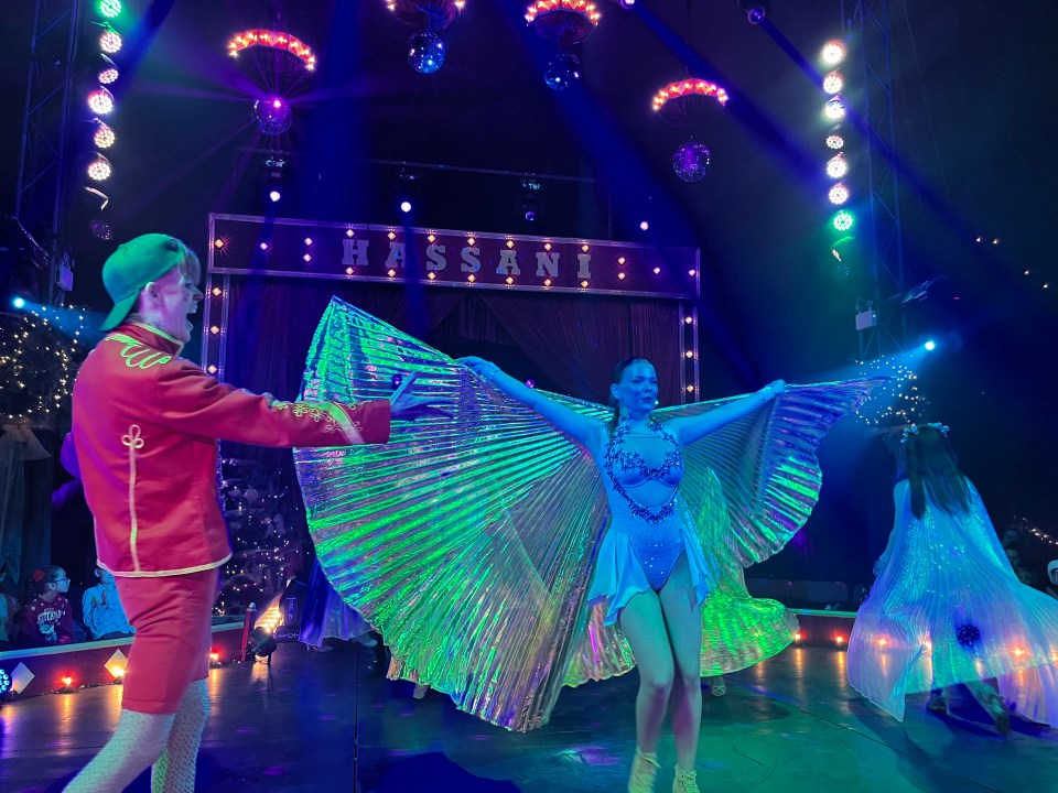 Circus performers in elaborate costumes and iridescent wings.