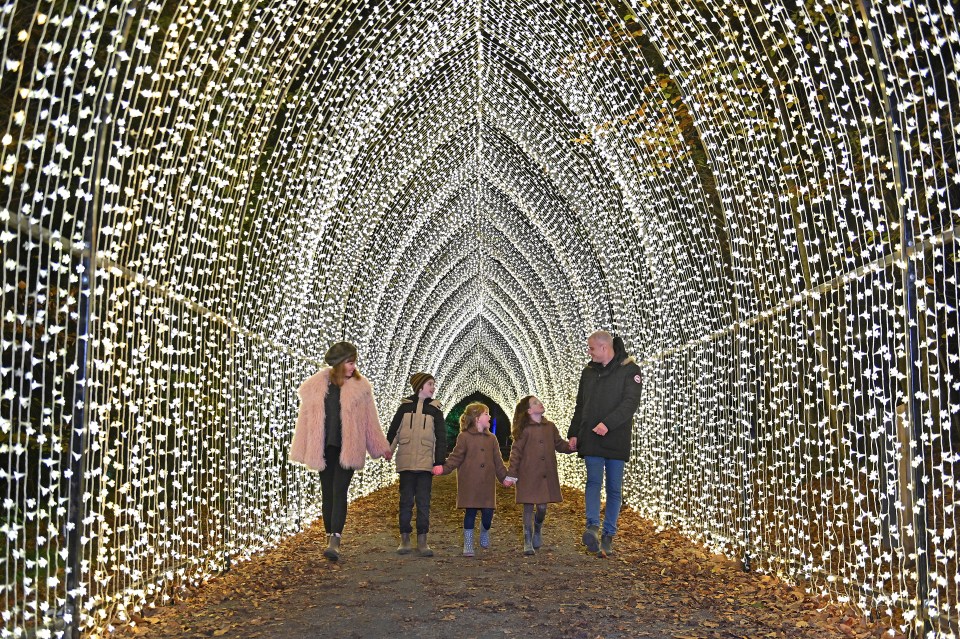 This twinkling tunnel at Bedgebury Pinetum, Kent, is fun for all the family