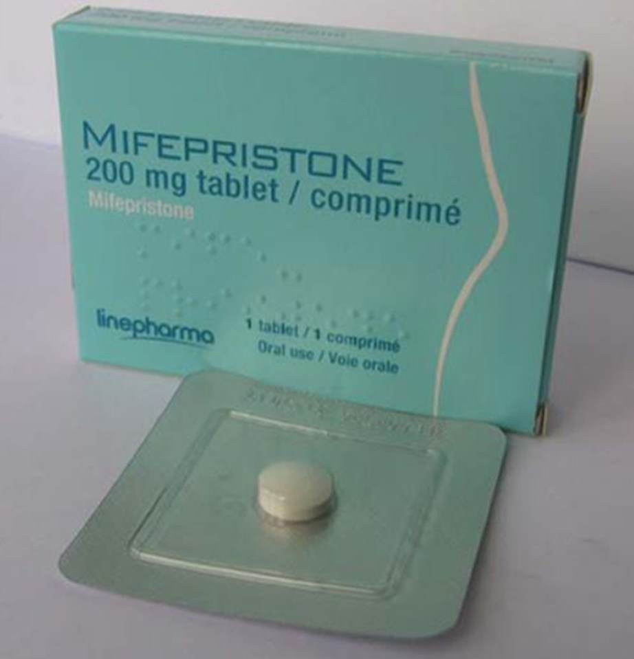 A Mifepristone tablet, one of two abortion drugs used by Worby