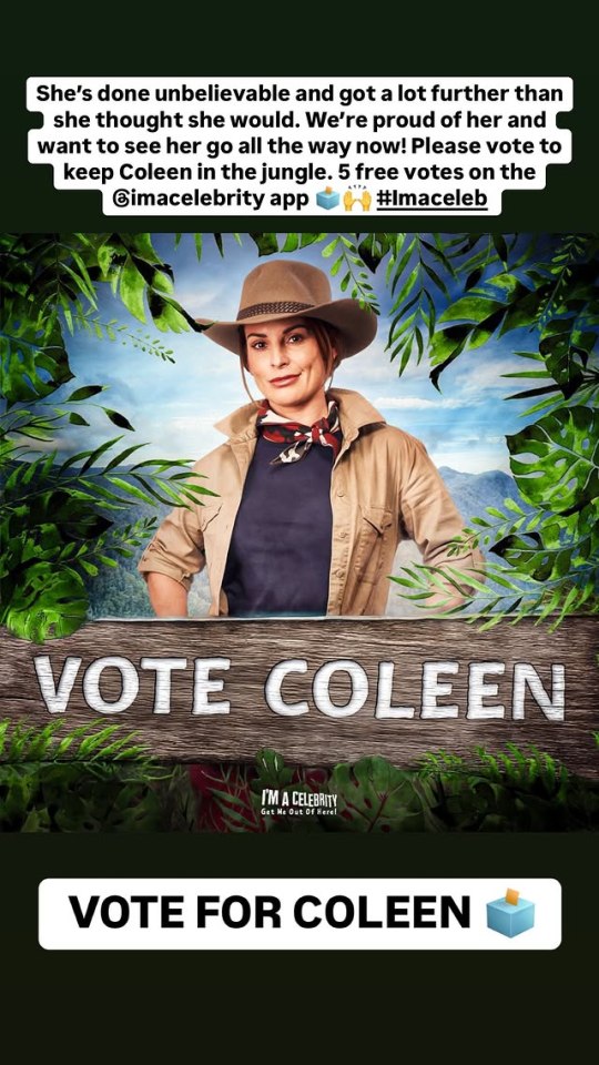 Wayne urged his followers to 'vote for Coleen' on his Instagram page