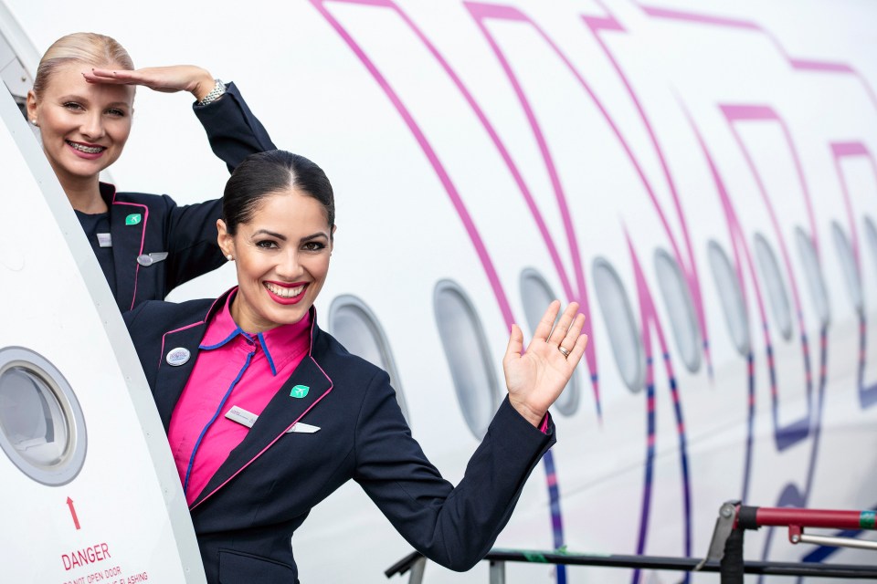 Budget euro airline Wizz Air said it will return to growth in 2026