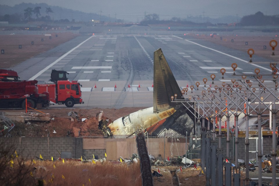 Devastating pictures showed the tail end of the plane as the only bit to survive the horror crash