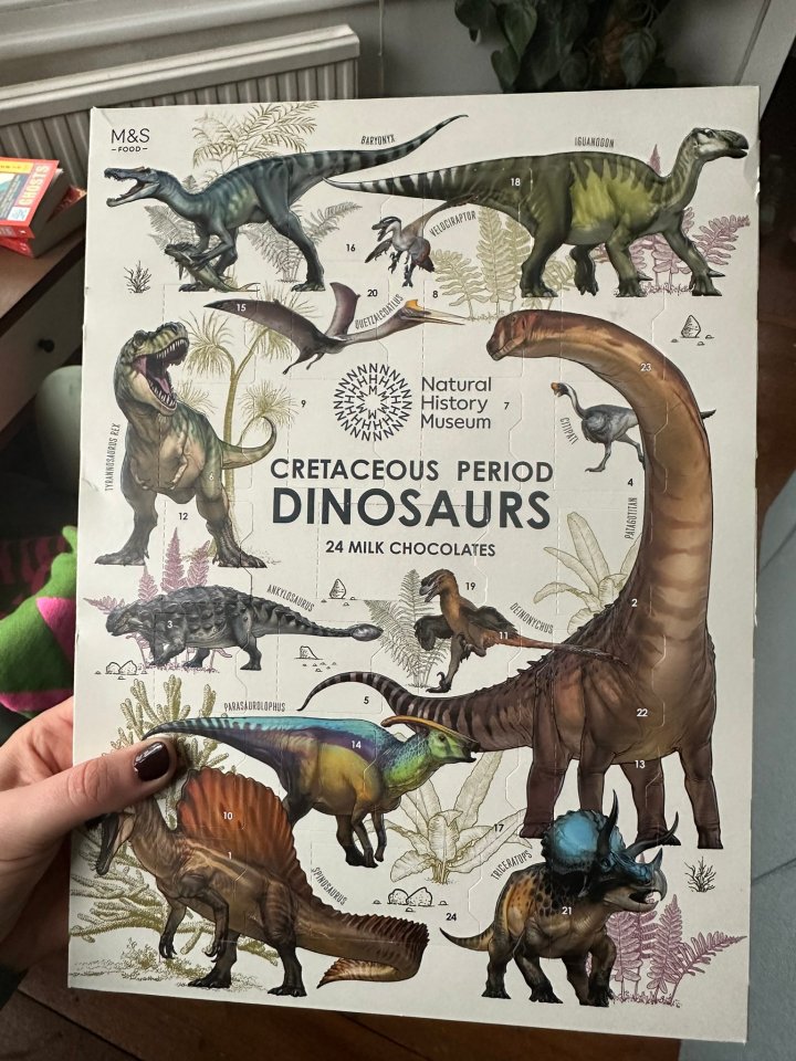 M&S has released a dinosaur themed advent calendar