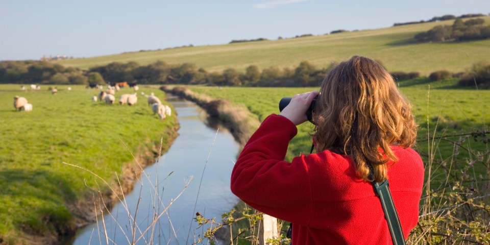 Birdwatching beside a waterway at Cuckmere Haven in South Downs National Park