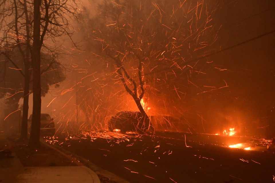 Embers and fire from a wildfire engulfing cars and trees on a residential street.