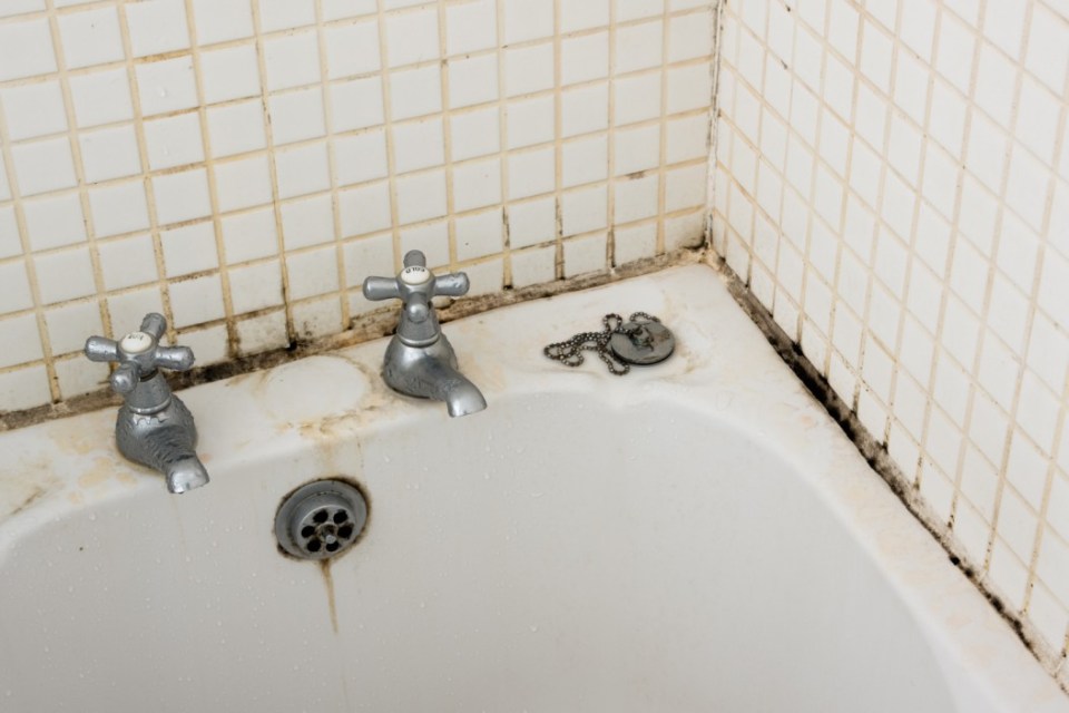 Mold and grime around a bathtub and faucets.