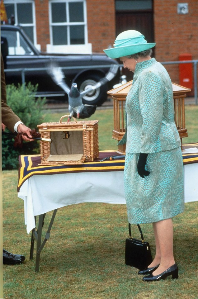 Queen Elizabeth enjoyed pigeon racing