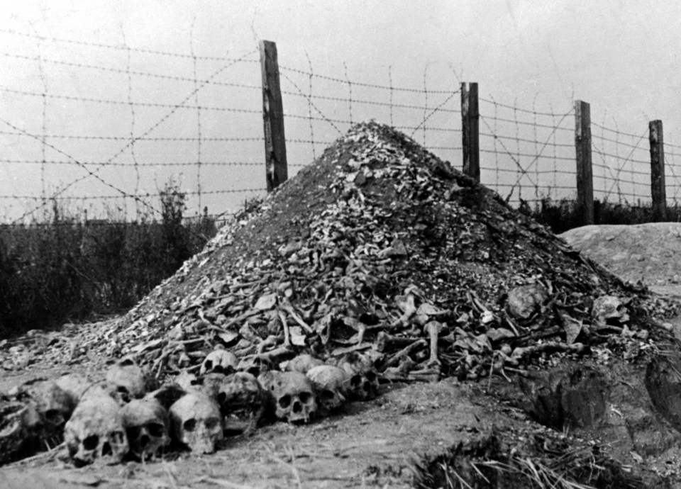 Pile of human remains at Majdanek concentration camp.