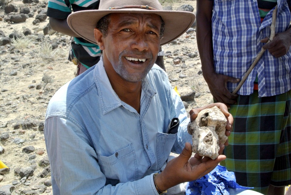 Yohannes Haile-Selassie holds a fossilized cranium of Australopithecus anamensis