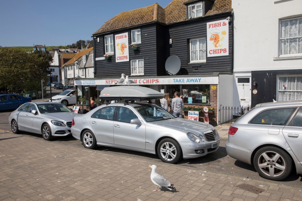 Seagulls outside a fish and chips shop in Hastings, UK.