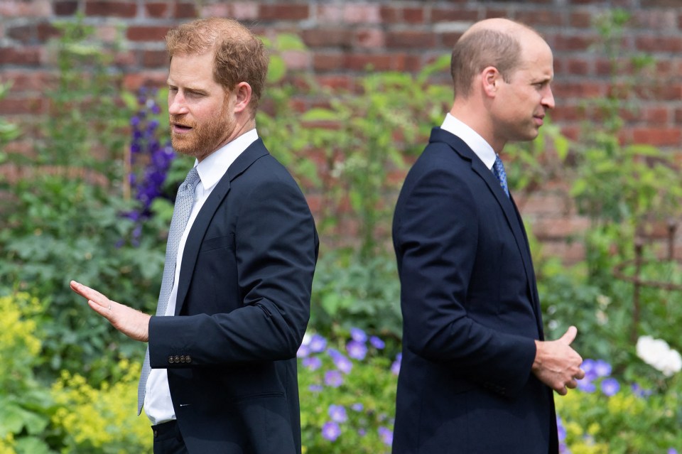 Princes William and Harry at the unveiling of a statue of Princess Diana.