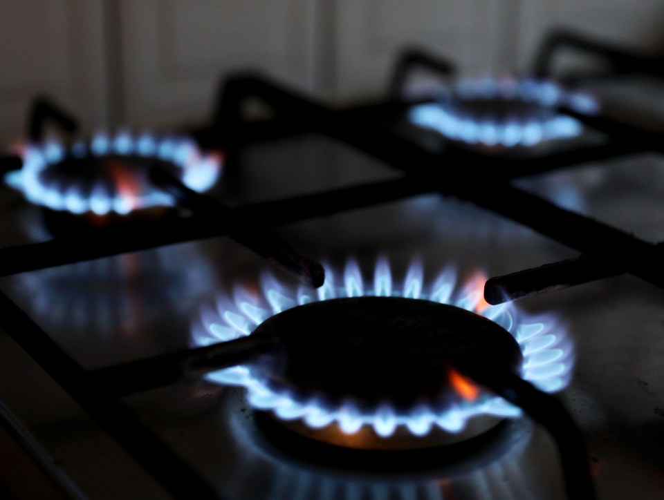 Gas stove burners lit with blue flames.