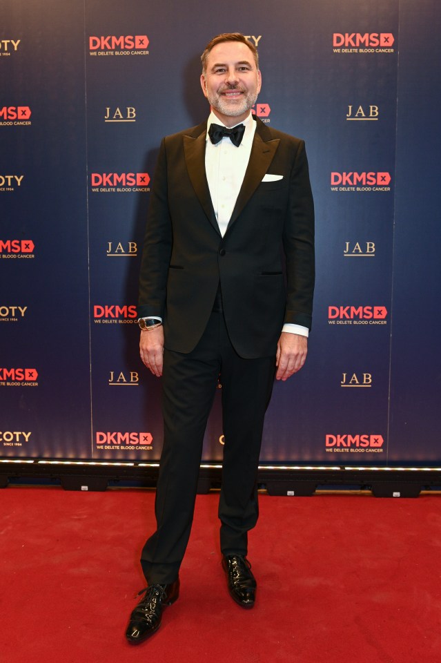 David Walliams at the 2023 DKMS Gala.