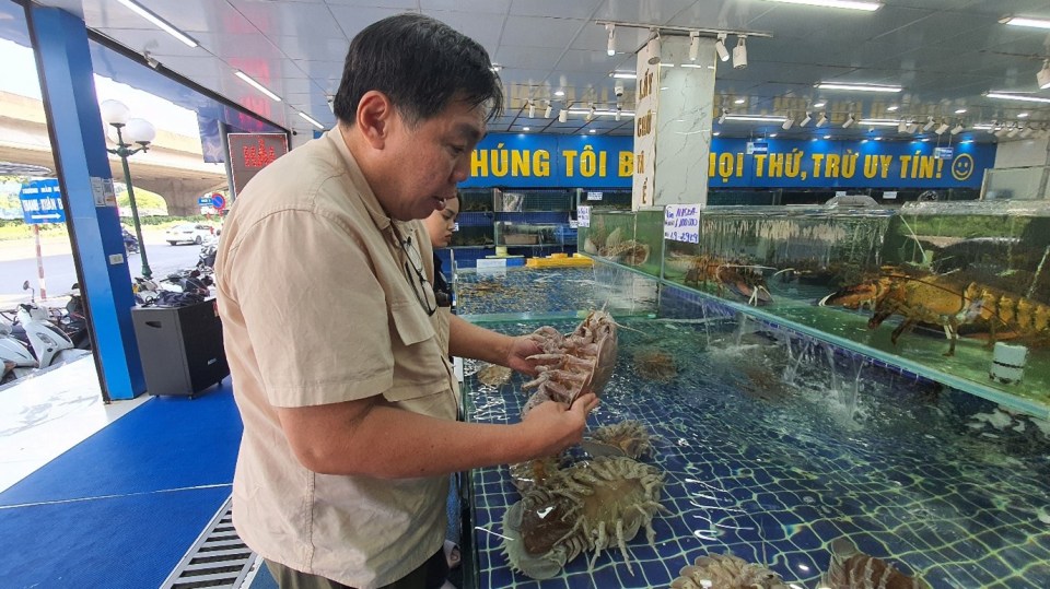 A man examining a giant isopod, a newly discovered species named Bathynomus vaderi, in a Vietnamese seafood market.