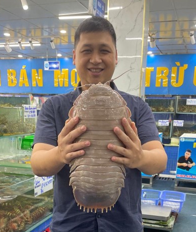 Person holding a large Bathynomus vaderi, a newly discovered species of giant isopod.