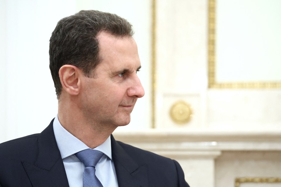 Bashar al-Assad, Syrian president, in profile.