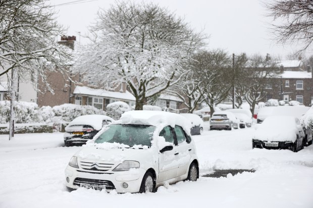 Snow-covered cars parked on a residential street during a snowstorm.