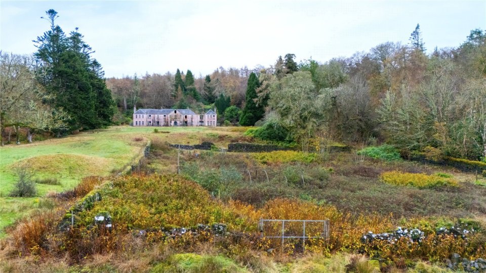 Derelict nine-bedroom mansion for sale.