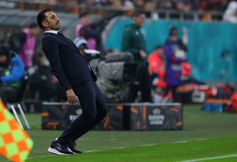 FCSB coach Elias Charalambous reacting on the sidelines.