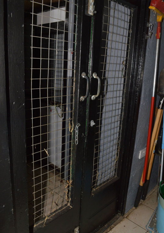 Black doors with wire mesh inserts to a cat enclosure.