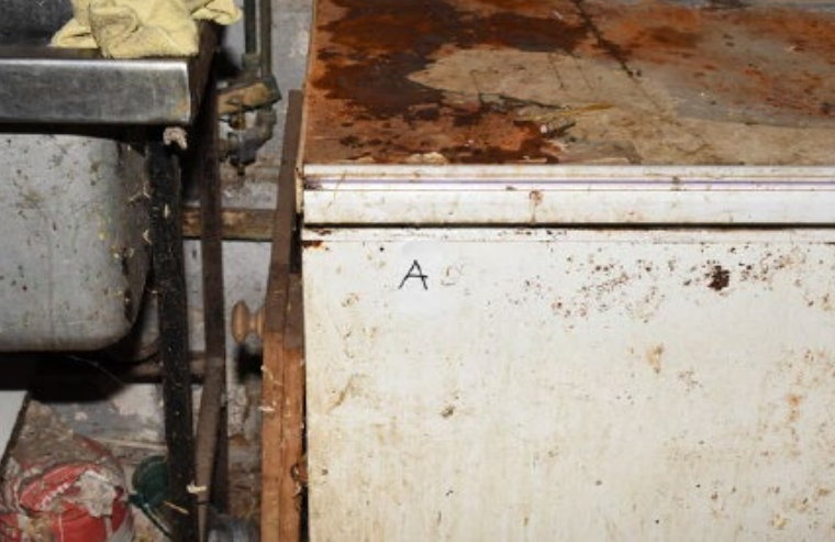 Dirty freezer labeled "A" containing animal carcasses.