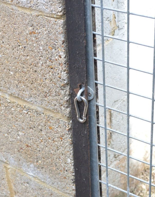 Carabiner lock on a cat enclosure gate.