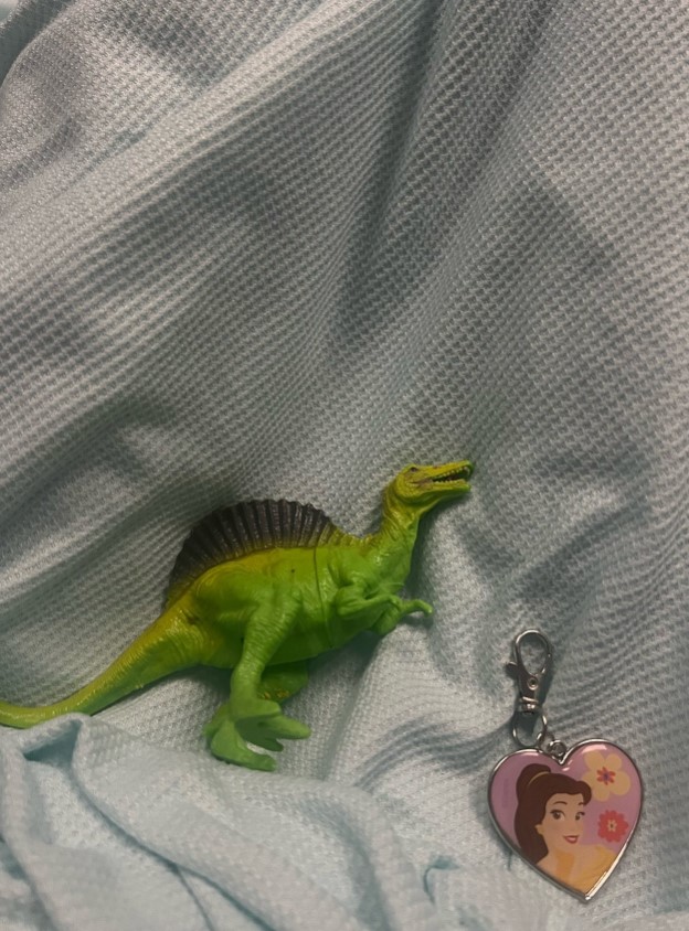 Green dinosaur toy and Belle keychain on a light blue fabric.