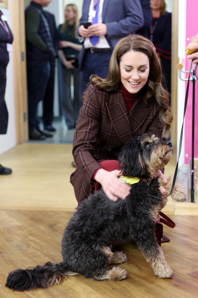 Catherine, Princess of Wales petting a therapy dog.