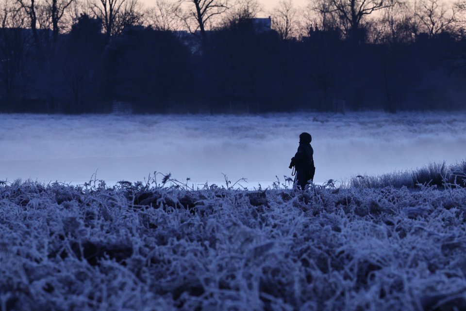 A cold start on Friday in Bushy Park, south west London