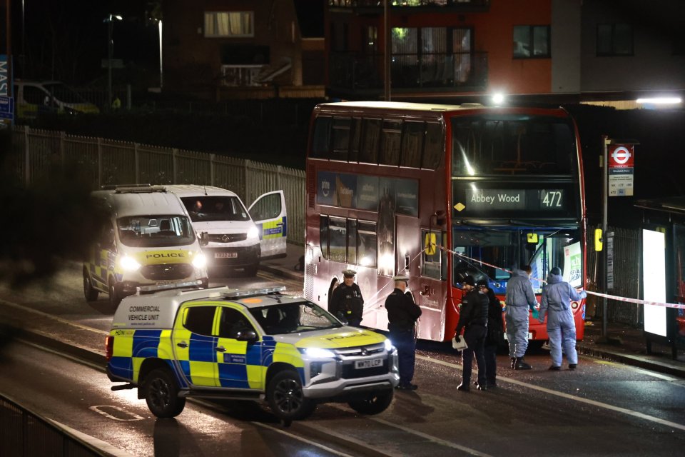 Police at a crime scene near a bus after a fatal stabbing.