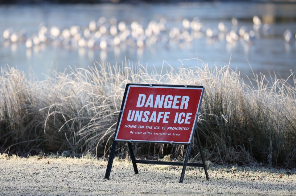 Ice warnings at Bushy Park in south west London yesterday