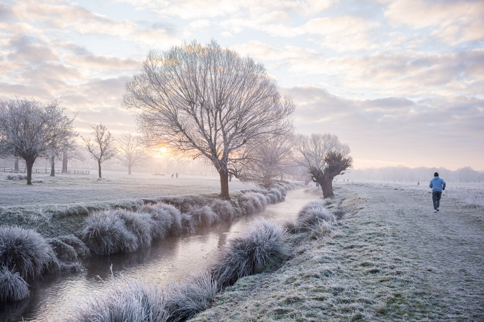 A jogger runs along a frost-covered path beside a stream in Richmond Park, London.