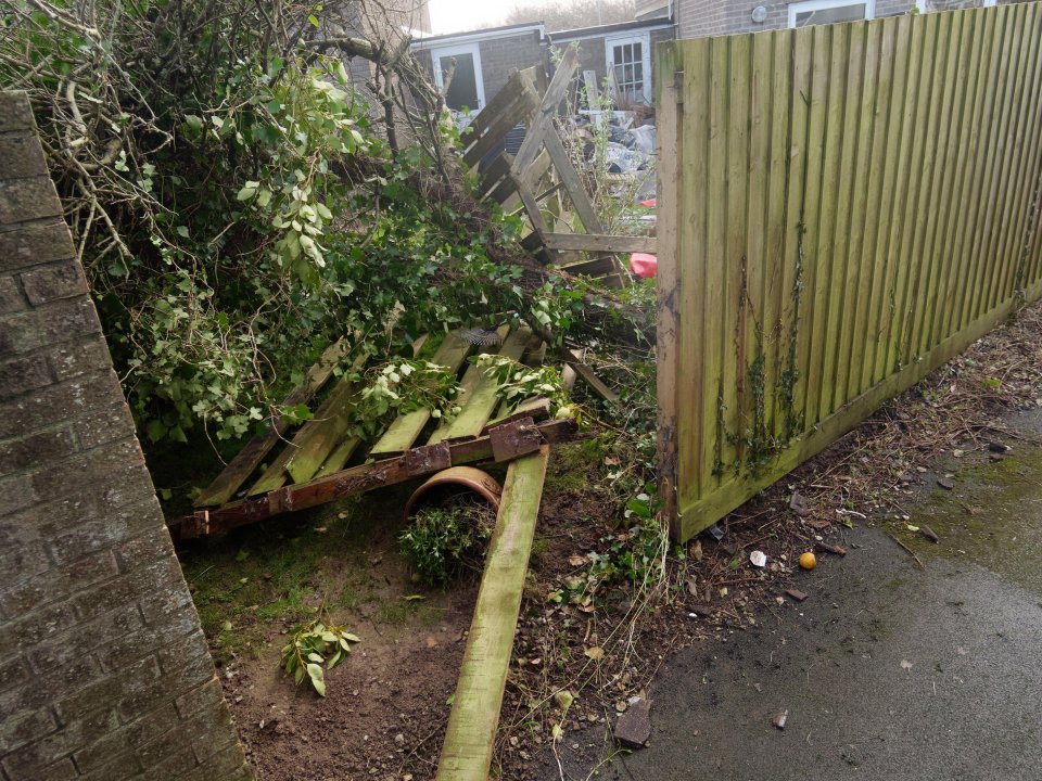 Storm damage: broken fence and debris.