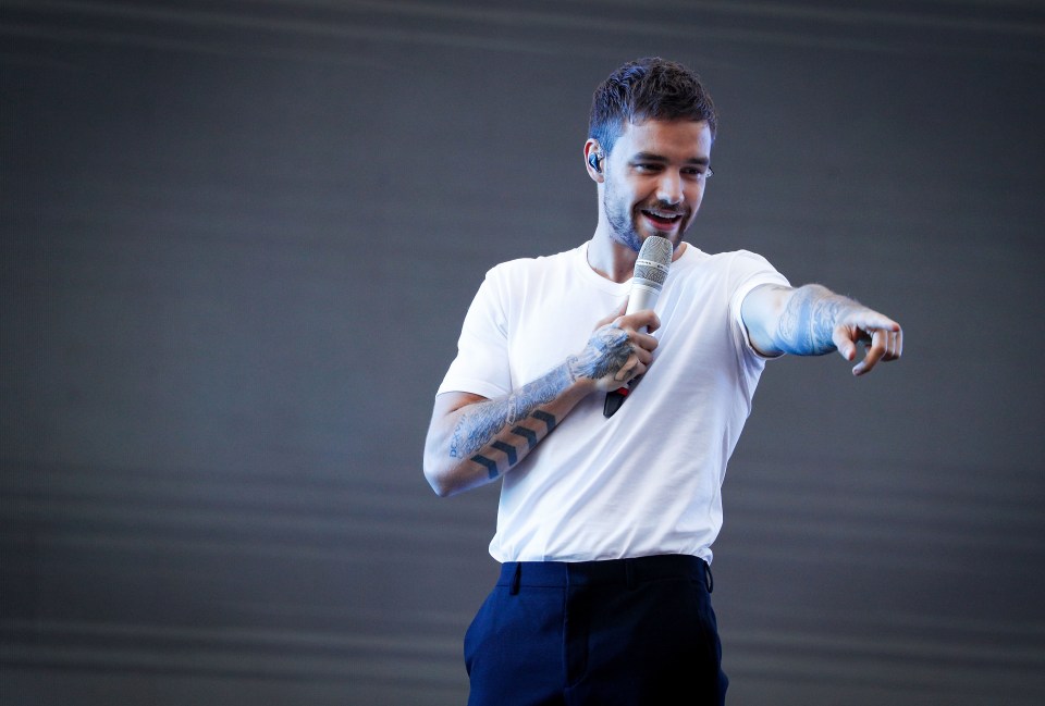 Liam Payne performing at the TAB Everest Race Day.