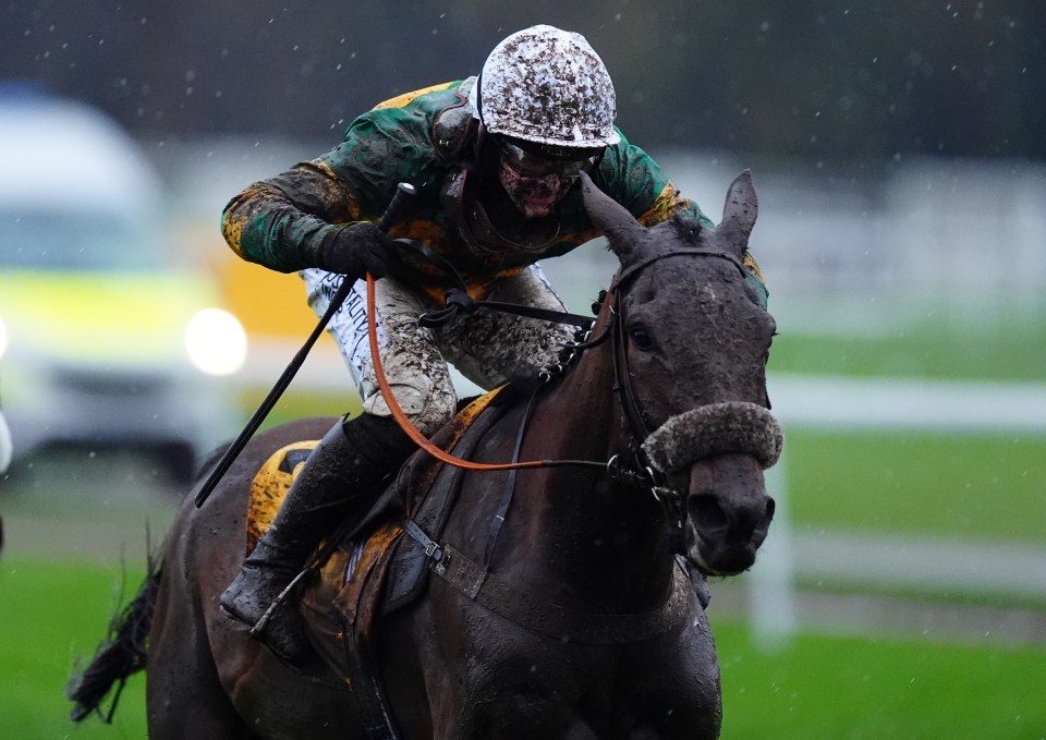 Jockey Jonjo O'Neill Jr. riding Iroko in a muddy race.