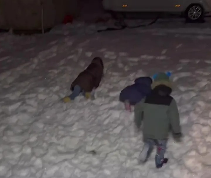 Children playing in the snow.