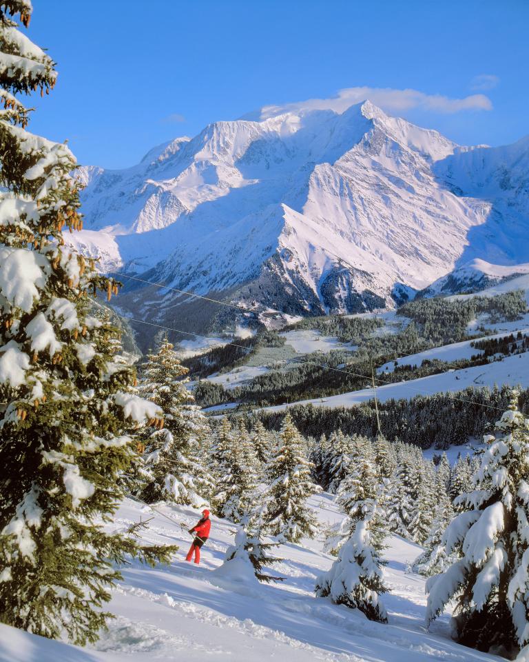 Skier on snowy mountain slope with snow-covered trees and the Mont Blanc massif in the background.