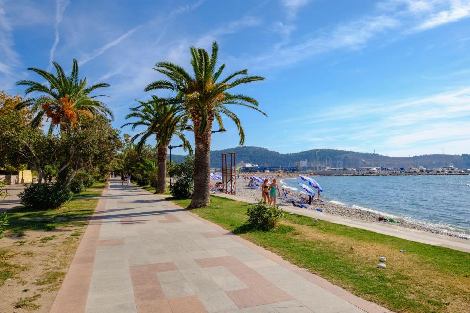 Beach promenade with palm trees, people sunbathing, and a harbor in the background.