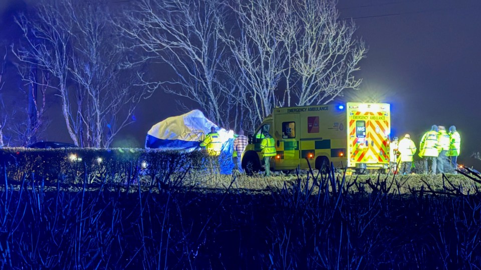 Emergency responders at a fatal car crash scene.