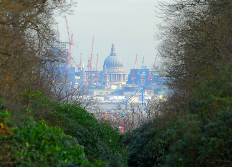 View of St. Paul's Cathedral through trees.