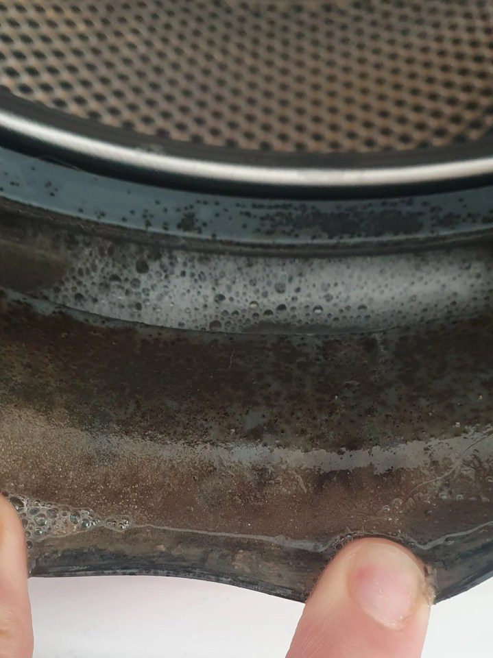 Moldy washing machine rubber seal.